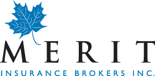 Our Partners - Merit Insurance and BottomLine Accounting Services.